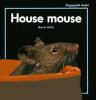 House_mouse