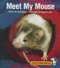 Meet_my_mouse