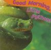 Good_morning__little_python_
