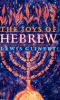 The_joys_of_Hebrew