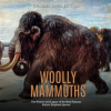 Woolly_Mammoths