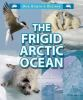 The_frigid_Arctic_ocean