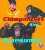 Chimpanzees_are_awesome_