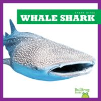 Whale_shark